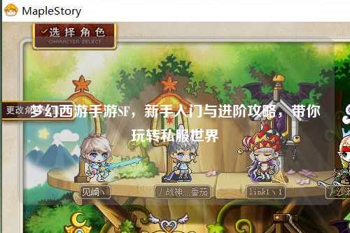 梦幻西游手游SF，新手入门与进阶攻略，带你玩转私服世界